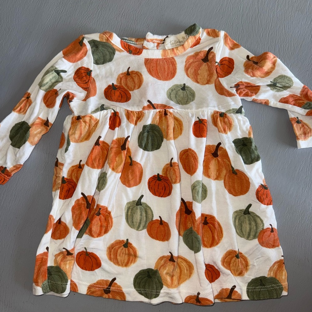 Tullabee‎ Baby Girls Orange Green Pumpkin Print Long Sleeve Dress 3-6 Months